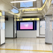 [Nagoya Station/Sakae Station] Chikavision (7면 세트)