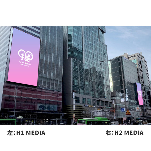 [Hongdai] H1 & H2 미디어 (2 세트)