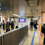 [Nagoya Station/Sakae Station] Chikavision (7면 세트)