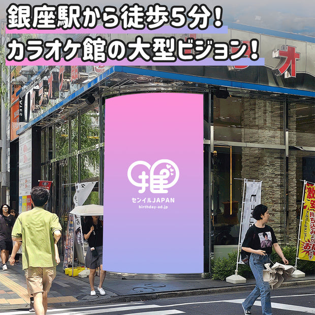 【銀座】カラ館スーパービジョン銀座総本店