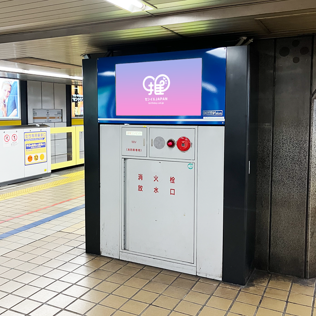 [Nagoya Station/Sakae Station] Chikavision (7면 세트)